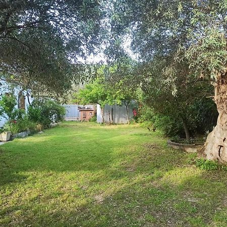 Zephyr Guest House ليفوكاسترو المظهر الخارجي الصورة