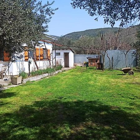 Zephyr Guest House ليفوكاسترو المظهر الخارجي الصورة