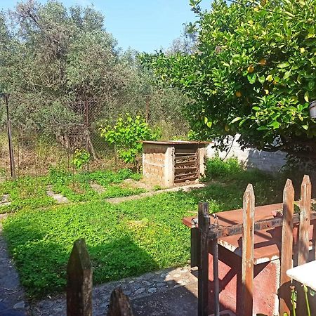 Zephyr Guest House ليفوكاسترو المظهر الخارجي الصورة