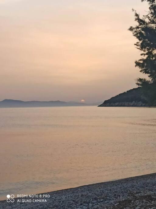 Zephyr Guest House ليفوكاسترو المظهر الخارجي الصورة