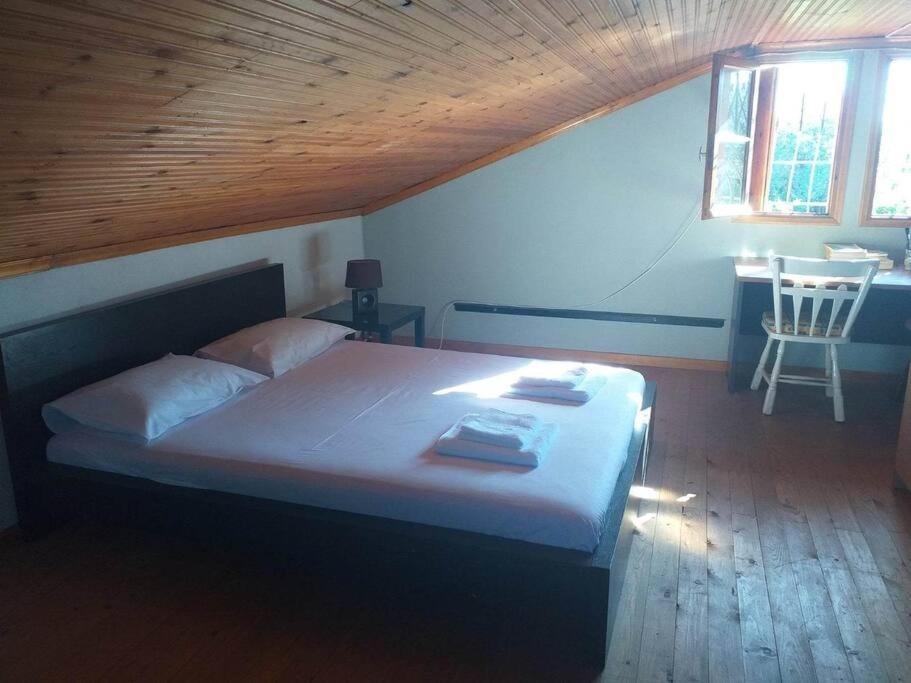 Zephyr Guest House ليفوكاسترو المظهر الخارجي الصورة