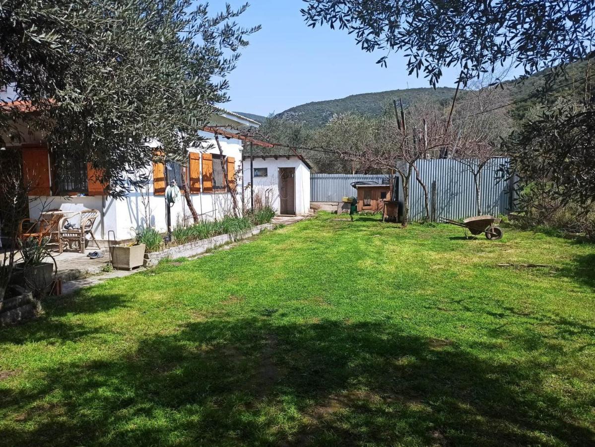 Zephyr Guest House ليفوكاسترو المظهر الخارجي الصورة
