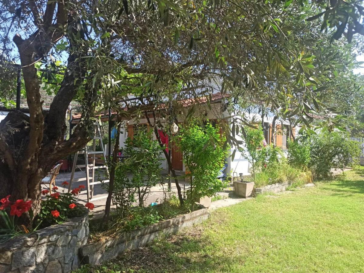 Zephyr Guest House ليفوكاسترو المظهر الخارجي الصورة