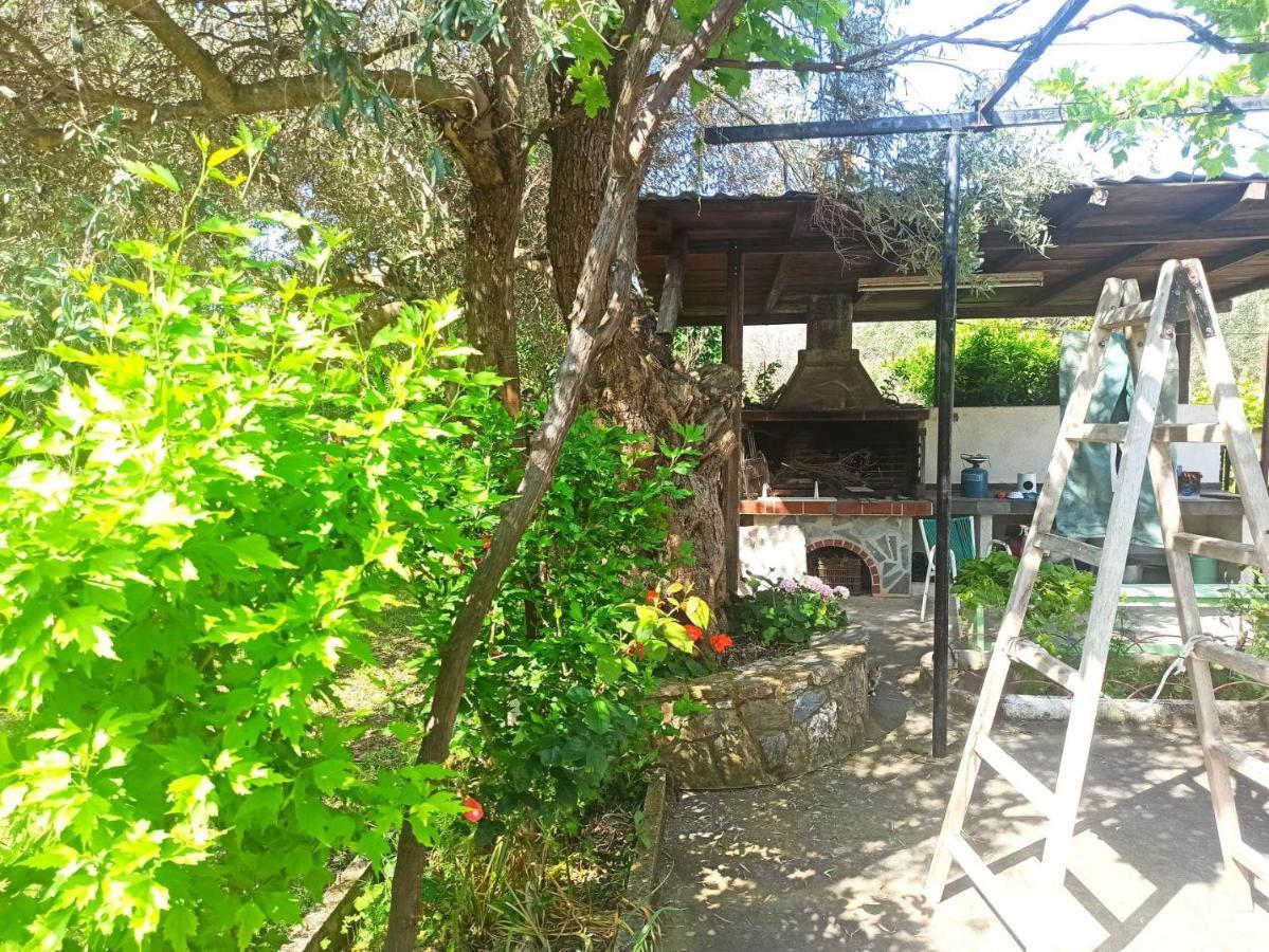 Zephyr Guest House ليفوكاسترو المظهر الخارجي الصورة